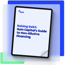 Landing page - Raising debt ebook (1)
